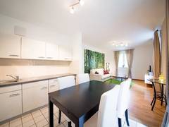 Zimmerbild 3
