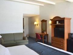 Zimmerbild 8