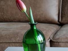Zimmerbild 0