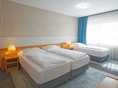 Zimmerbild 2