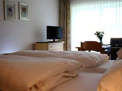 Zimmerbild 0