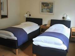 Zimmerbild 2