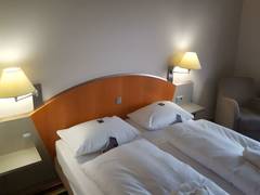 Zimmerbild 1