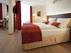 Zimmerbild 3
