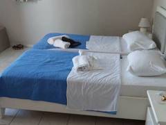 Zimmerbild 1