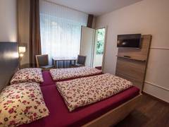 Zimmerbild 4