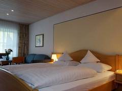 Zimmerbild 3