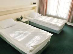 Zimmerbild 1