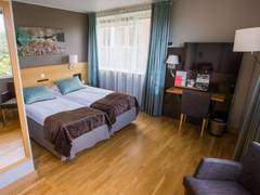 Zimmerbild 2