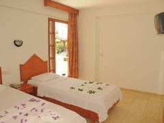 Zimmerbild 12