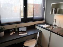 Zimmerbild 14