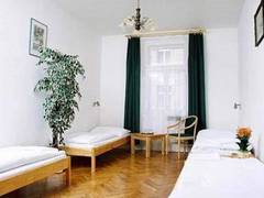 Zimmerbild 33