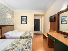 Zimmerbild 8