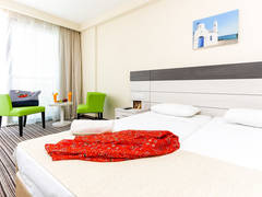 Zimmerbild 12