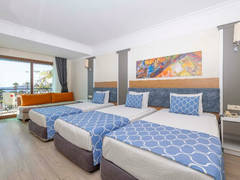 Zimmerbild 8