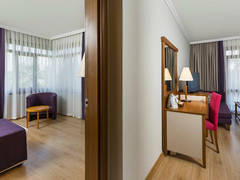 Zimmerbild 11