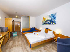 Zimmerbild 6