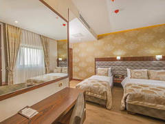 Zimmerbild 11