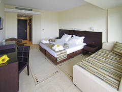 Zimmerbild 15