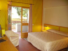 Zimmerbild 11