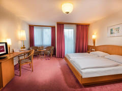 Zimmerbild 15