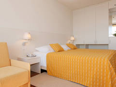 Zimmerbild 8