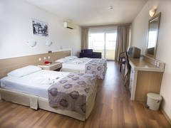 Zimmerbild 11