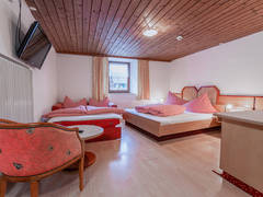 Zimmerbild 8