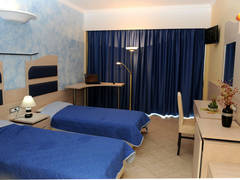 Zimmerbild 11