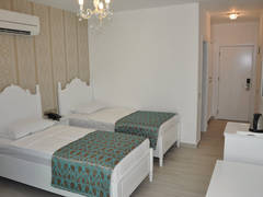 Zimmerbild 6