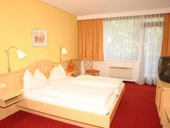 Zimmerbild 11