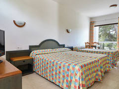 Zimmerbild 43