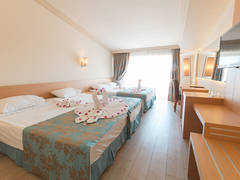 Zimmerbild 11