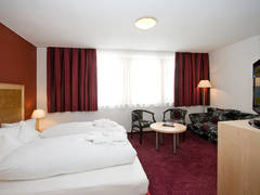 Zimmerbild 13