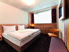 Zimmerbild 12