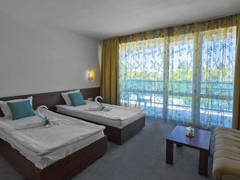 Zimmerbild 11