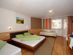 Zimmerbild 6