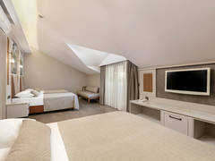 Zimmerbild 9