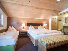 Zimmerbild 11