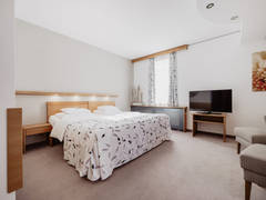Zimmerbild 11