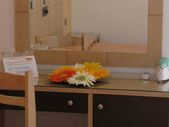 Zimmerbild 11