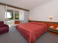 Zimmerbild 14
