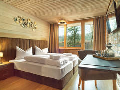 Zimmerbild 4