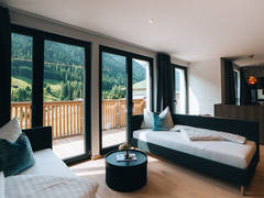 Zimmerbild 18