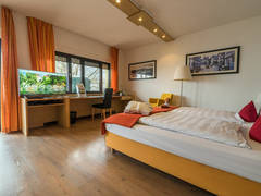 Zimmerbild 13