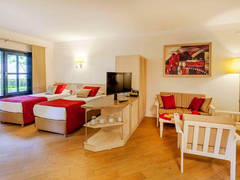 Zimmerbild 9