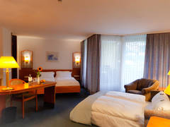 Zimmerbild 12