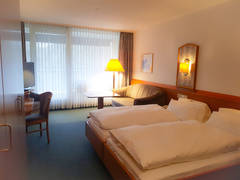 Zimmerbild 13