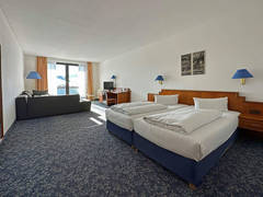 Zimmerbild 12