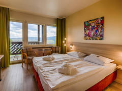 Zimmerbild 9